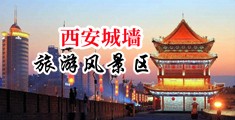 一级真人毛片无码三p中国陕西-西安城墙旅游风景区